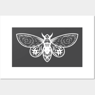 Moth of the Light Posters and Art